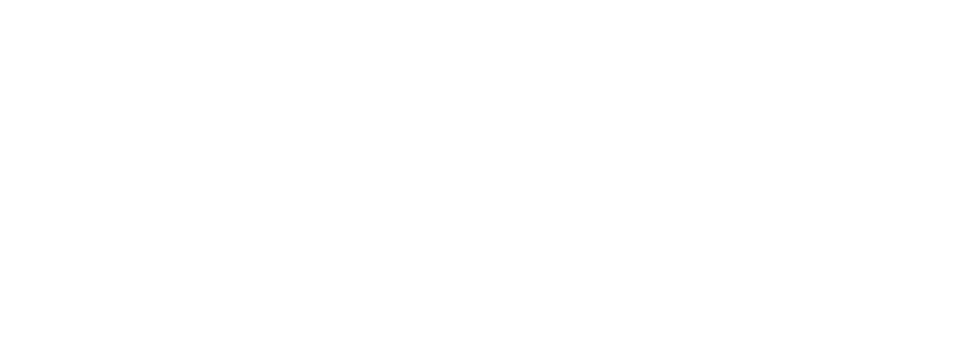 W.T.I Self Storage Logo